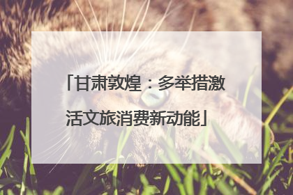 甘肃敦煌：多举措激活文旅消费新动能