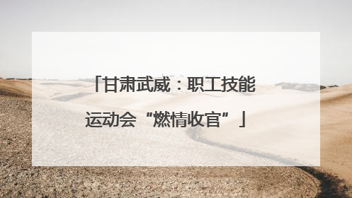 甘肃武威：职工技能运动会“燃情收官”