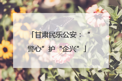 甘肃民乐公安：“警心”护“企兴”