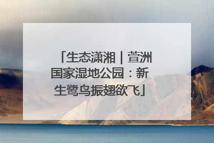 生态潇湘｜萱洲国家湿地公园：新生鹭鸟振翅欲飞
