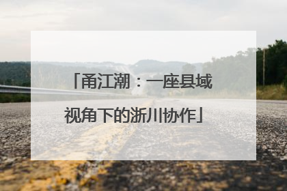 甬江潮：一座县域视角下的浙川协作