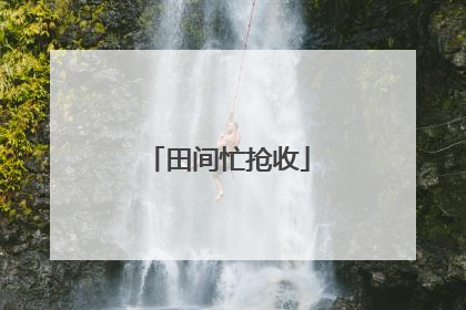 田间忙抢收