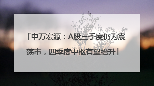 申万宏源：A股三季度仍为震荡市，四季度中枢有望抬升