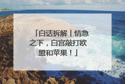 白话拆解丨情急之下，白宫敲打欧盟和苹果！