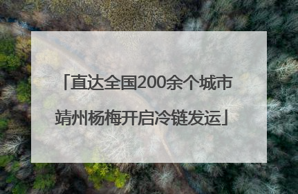 直达全国200余个城市 靖州杨梅开启冷链发运