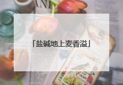 盐碱地上麦香溢