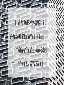 盐城亭湖宝瓶湖街道开展“善育在亭湖”宣传活动