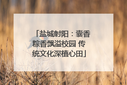 盐城射阳：囊香粽香飘溢校园 传统文化深植心田