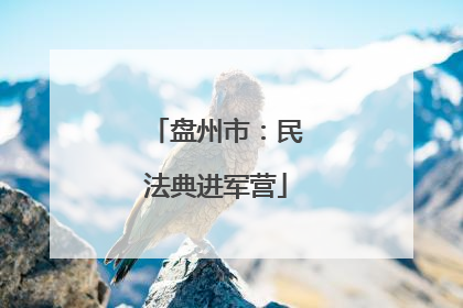 盘州市：民法典进军营