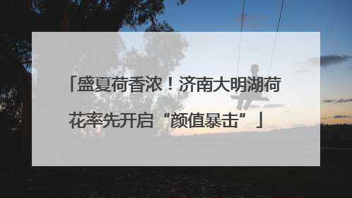 盛夏荷香浓！济南大明湖荷花率先开启“颜值暴击”