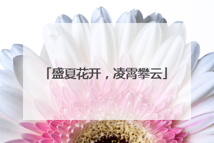 盛夏花开，凌霄攀云