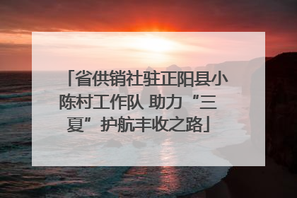 省供销社驻正阳县小陈村工作队 助力“三夏”护航丰收之路