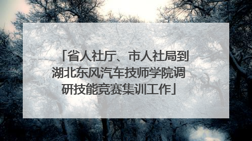 省人社厅、市人社局到湖北东风汽车技师学院调研技能竞赛集训工作