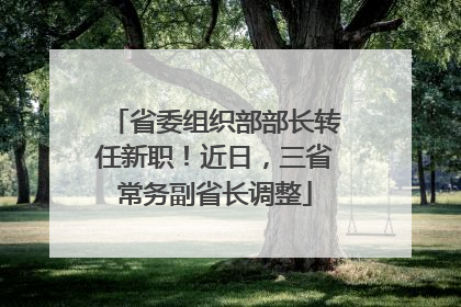 省委组织部部长转任新职！近日，三省常务副省长调整