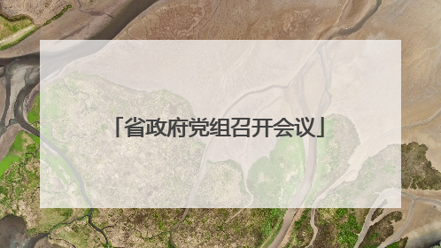 省政府党组召开会议