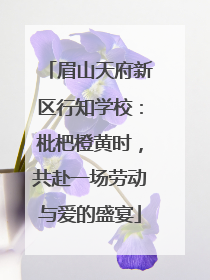 眉山天府新区行知学校：枇杷橙黄时，共赴一场劳动与爱的盛宴