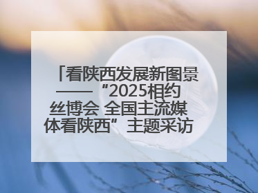 看陕西发展新图景——“2025相约丝博会 全国主流媒体看陕西”主题采访活动见闻