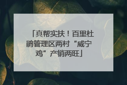 真帮实扶！百里杜鹃管理区两村“威宁鸡”产销两旺