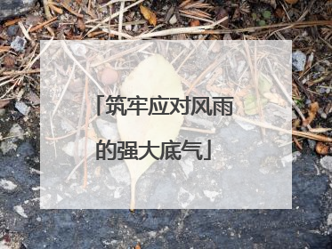 筑牢应对风雨的强大底气