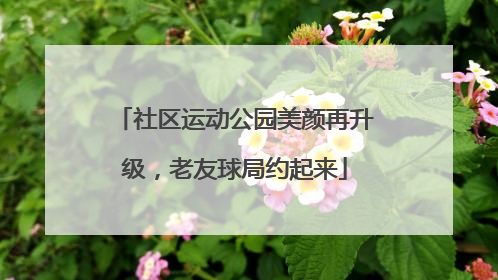 社区运动公园美颜再升级，老友球局约起来