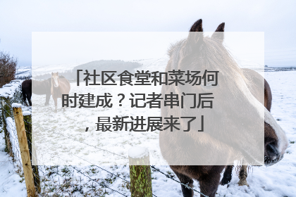 社区食堂和菜场何时建成？记者串门后，最新进展来了