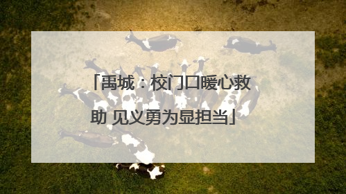 禹城：校门口暖心救助 见义勇为显担当