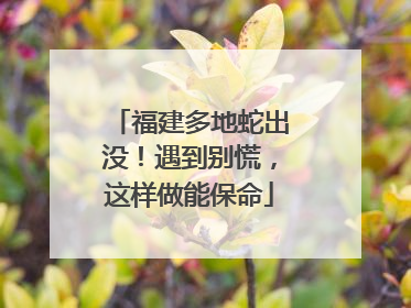 福建多地蛇出没！遇到别慌，这样做能保命
