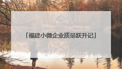 福建小微企业质量跃升记