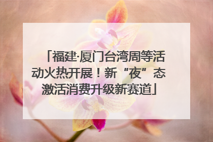 福建·厦门台湾周等活动火热开展！新“夜”态激活消费升级新赛道