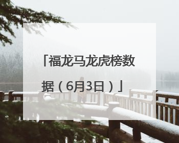 福龙马龙虎榜数据（6月3日）