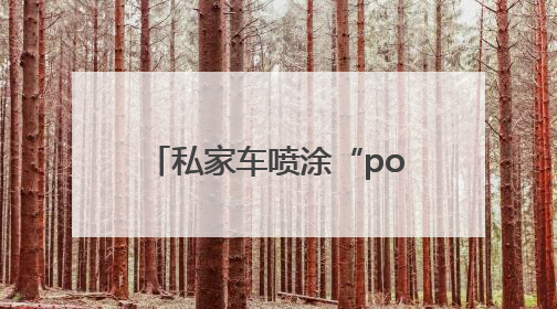 私家车喷涂“police”字样？官方：若不是警车，不能这样涂装