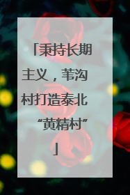 秉持长期主义，苇沟村打造泰北“黄精村”
