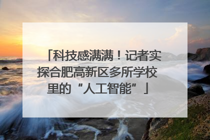 科技感满满！记者实探合肥高新区多所学校里的“人工智能”