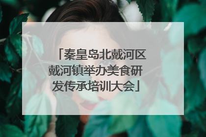 秦皇岛北戴河区戴河镇举办美食研发传承培训大会