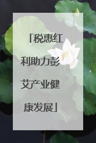 税惠红利助力彭艾产业健康发展