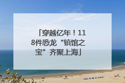 穿越亿年！118件恐龙“镇馆之宝”齐聚上海