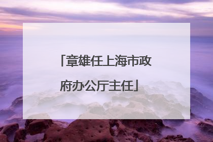 章雄任上海市政府办公厅主任