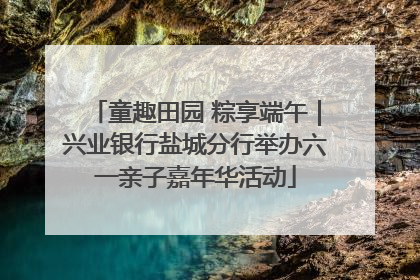 童趣田园 粽享端午｜兴业银行盐城分行举办六一亲子嘉年华活动
