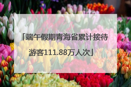 端午假期青海省累计接待游客111.88万人次