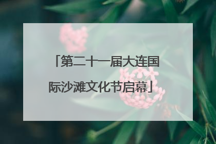 第二十一届大连国际沙滩文化节启幕