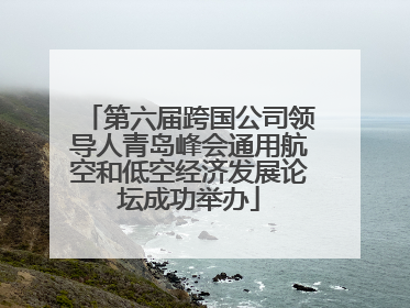 第六届跨国公司领导人青岛峰会通用航空和低空经济发展论坛成功举办