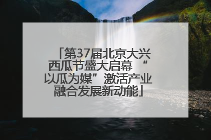 第37届北京大兴西瓜节盛大启幕 “以瓜为媒”激活产业融合发展新动能