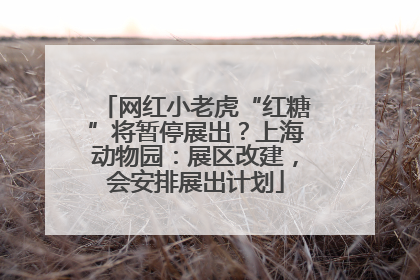 网红小老虎“红糖”将暂停展出？上海动物园：展区改建，会安排展出计划