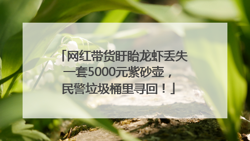 网红带货盱眙龙虾丢失一套5000元紫砂壶，民警垃圾桶里寻回！