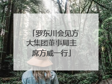 罗东川会见方大集团董事局主席方威一行