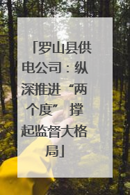 罗山县供电公司：纵深推进“两个度” 撑起监督大格局