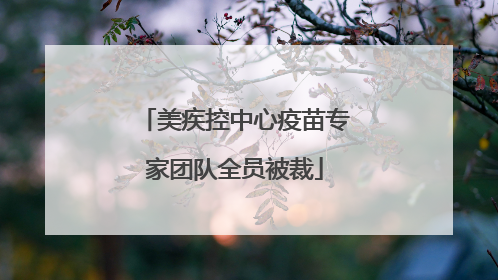 美疾控中心疫苗专家团队全员被裁