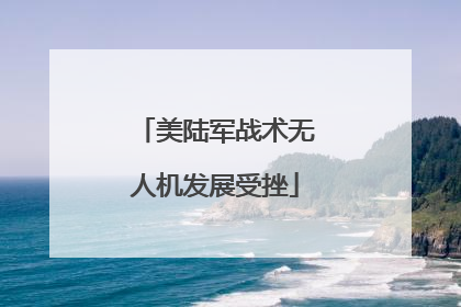 美陆军战术无人机发展受挫