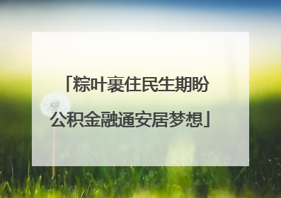 粽叶裹住民生期盼 公积金融通安居梦想