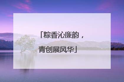 粽香沁廉韵，青创展风华